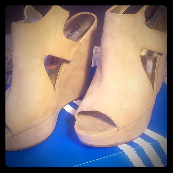 Wedges! - Picture 1 of 3